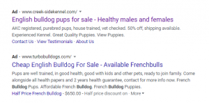 English Bulldog scam!