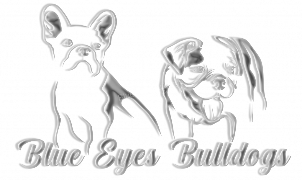 BlueEyesBulldogs Logo